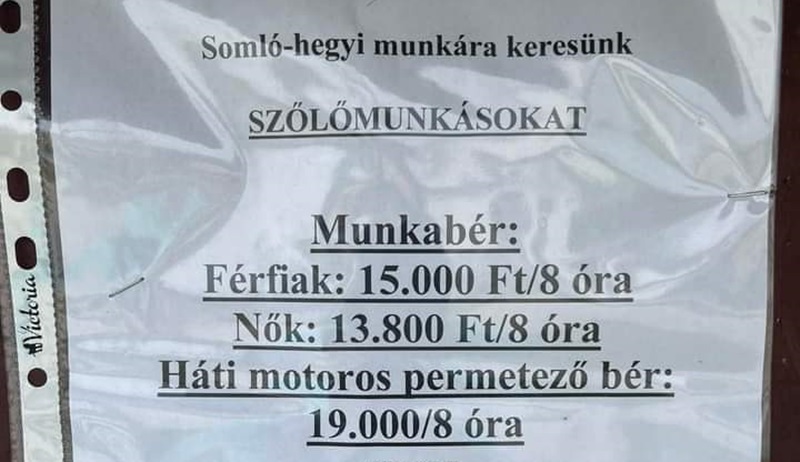 bérkülönbség, férfi, nő-